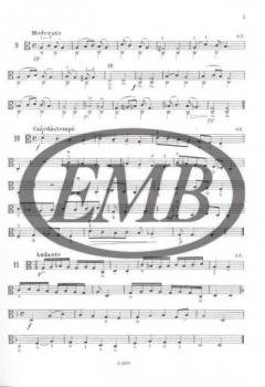 Viola Tutor im Alle Noten Shop kaufen online kaufen