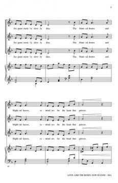 Love, Like the Roses, Now Is Gone von Vicki Tucker Courtney 