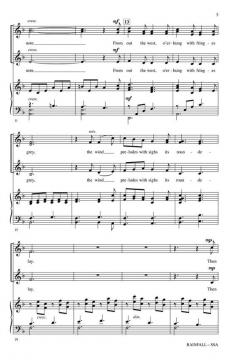 Rainfall von Patti Drennan 