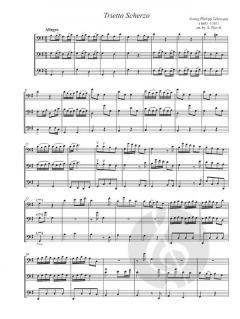 Chamber Music For Violoncellos 6 im Alle Noten Shop kaufen