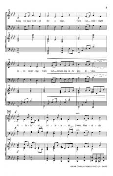 Shine on Our World Today von Joshua Metzger 