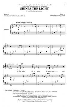 Shines The Light von Lee Dengler 