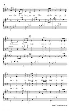 Shines The Light von Lee Dengler 