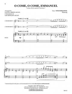 Snow Falling on Ivory 