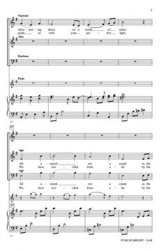 Star So Bright von Mary Donnelly 