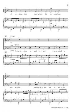 Stirring Waters von Douglas Nolan 