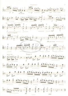 Allegro rondo von Arpad Pejtsik 