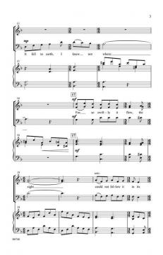 The Arrow and the Song von John S. Dixon 