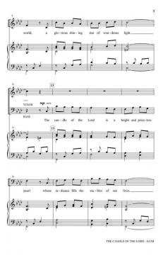 The Candle of the Lord von Vicki Tucker Courtney 