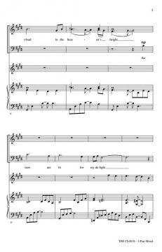 The Cloud von Victor C. Johnson 