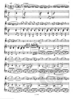 Capriccio von Georg Goltermann 