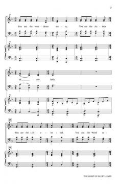 The Light of The Glory von David Angerman 