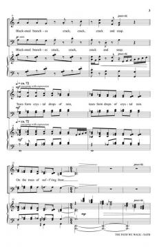 The Path We Walk von Joseph M. Martin (Download) 