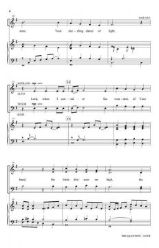 The Question von Joseph M. Martin 