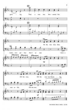 The Rose Tree Carol from The Winter Rose 