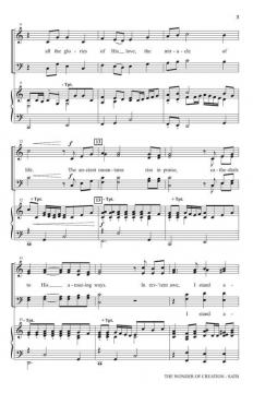 The Wonder of Creation von Jon Paige 