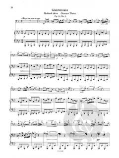 Popular Concert Pieces 1 von David Popper 