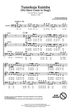 Tumekuja Kuimba von Lynn Zettlemoyer 