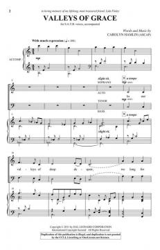 Valleys of Grace von Carolyn Hamlin 