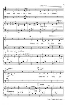 Valleys of Grace von Carolyn Hamlin 