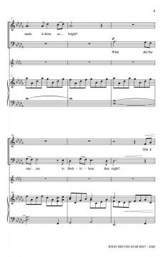 What Did the Star See? von Joseph M. Martin 