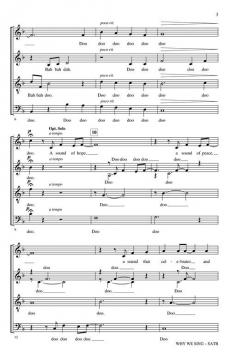 Why We Sing A Cappella von Greg Gilpin 