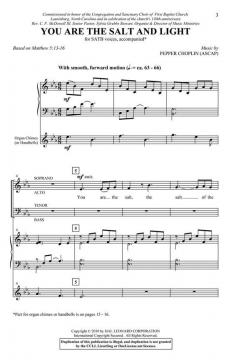 You are the Salt and Light von Pepper Choplin 