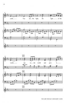 You are the Salt and Light von Pepper Choplin 