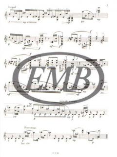 Divertimento von Zsolt Durko 