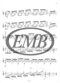 24 Studies von Mauro Giuliani 