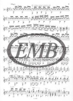 24 Studies von Mauro Giuliani 