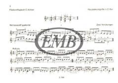 Exercise-book For Beginner Guitarists 2 von Leo Weiner 