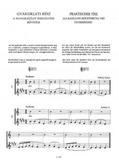 Flute Tutor 1 von Zoltan Jeney 