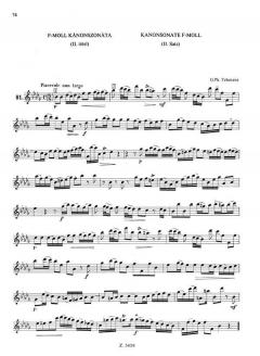 Flute Tutor 2 von Zoltan Jeney 