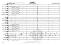 Skyfall von Adele Adkins 