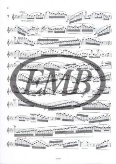 Virtuoso Studies for Flute 1 von Emil Köhler 