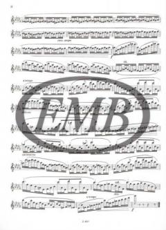 Virtuoso Studies for Flute 2 von Ernesto Köhler 
