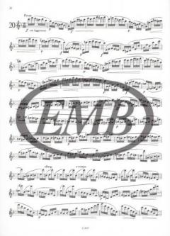 Virtuoso Studies for Flute 2 von Ernesto Köhler 