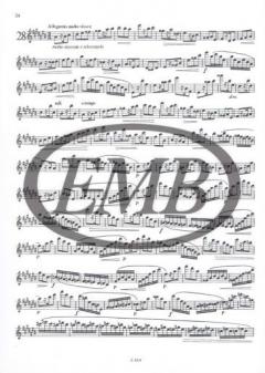 Virtuoso Studies for Flute 3 von Ernesto Köhler 