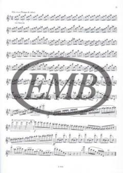 Virtuoso Studies for Flute 3 von Ernesto Köhler 