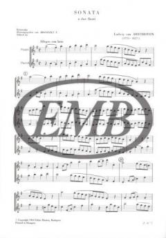 Sonata a due flauti von Ludwig van Beethoven 