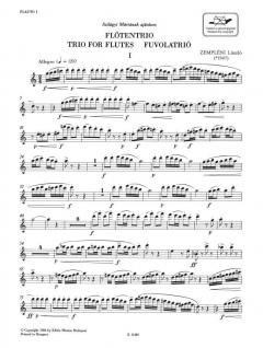Trio for flutes von Laszlo Zempleni 