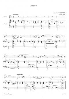 Flötenmusik für Anfänger im Alle Noten Shop kaufen