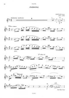 Flötenmusik für Anfänger im Alle Noten Shop kaufen