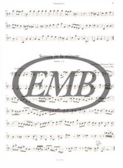 The Second Half of the 18th Century von Istvan Mariassy 