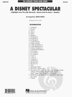 A Disney Spectacular 