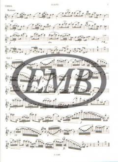 Fantasie Flöte und Klavier von Franz Doppler im Alle Noten Shop kaufen