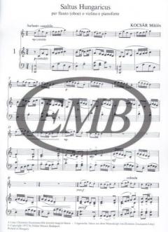 Saltus Hungaricus von Miklos Kocsar 