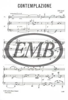 Contemplazione von Jozsef Sari 