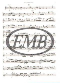 Flötenkonzert D-Dur op. 1 von Joseph Schubert im Alle Noten Shop kaufen